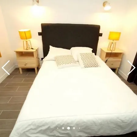 Deux Alpes - Aux Pieds Des Pistes -8 Pers *