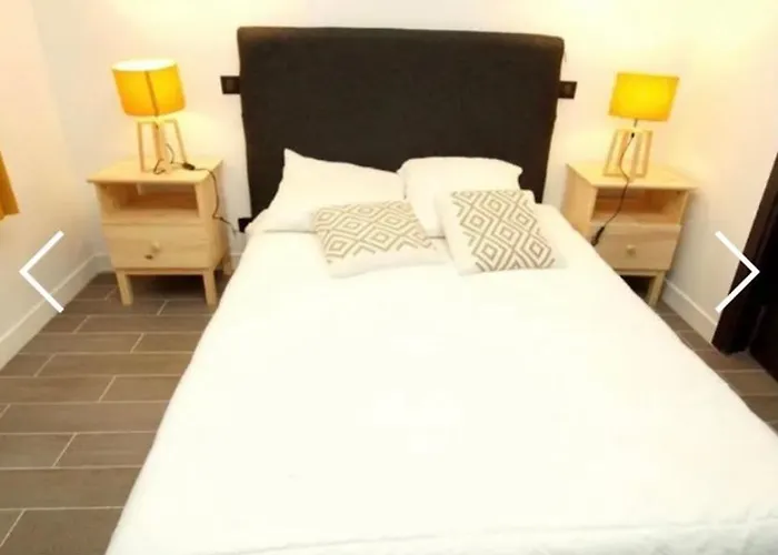 Deux Alpes - Aux Pieds Des Pistes -8 Pers *