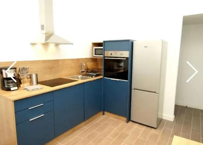 Deux Alpes - Aux Pieds Des Pistes -8 Pers